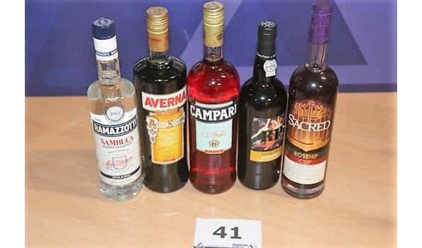 5 flessen diverse sterke drank wo CAMPARI